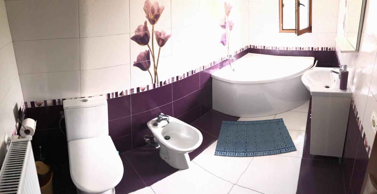 Hotel Casa Ardeleana Ucea Ucea de Sus Zewnętrze zdjęcie