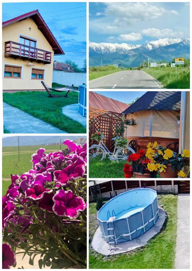 Hotel Casa Ardeleana Ucea Ucea de Sus Zewnętrze zdjęcie