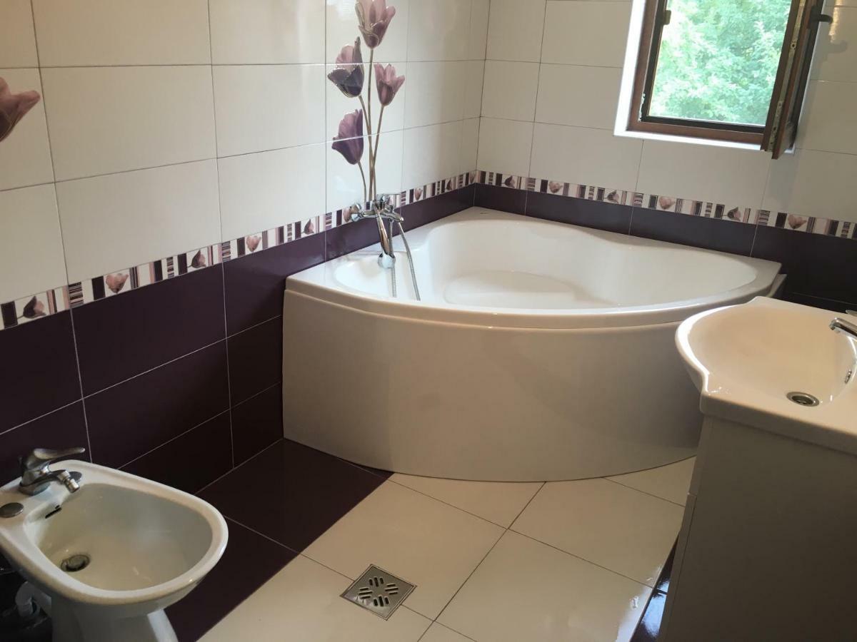 Hotel Casa Ardeleana Ucea Ucea de Sus Zewnętrze zdjęcie